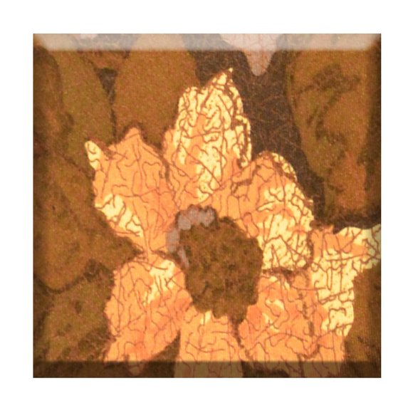 Ungaro 'Flower' Tie
